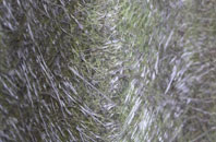 Peening Quarter fibreglass roof work